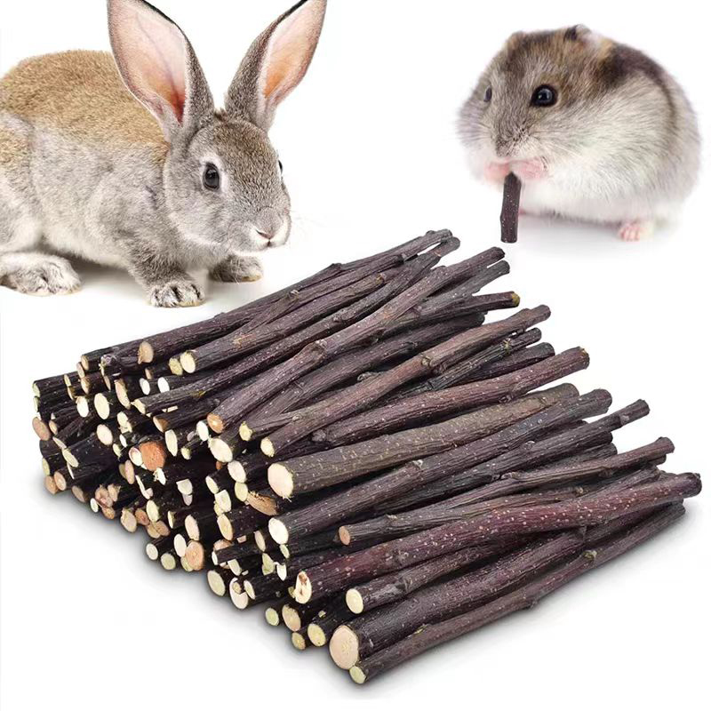 Woodworking Rabbet - 20/40/80/100pcs Hamster Rabbit Teeth Grinding Apple